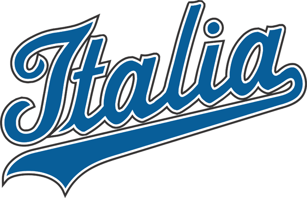 Italy 2006-Pres Primary Logo iron on transfers for T-shirts